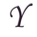 Y