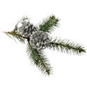 pine branch with silver pine cones