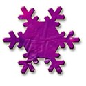 snowflake purple