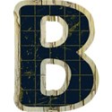 stierney_campout_alpha_uc_b
