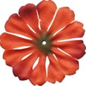 stierney-campout-flower1