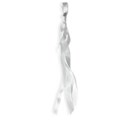 BD_Ribbon_10
