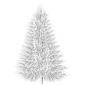 BD_Tree_01