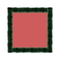 fr1