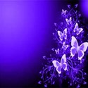 purple butterfly background