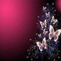 butterfly background