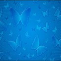 blue butterfly shadow background