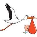 stork and baby