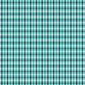 paper_19