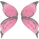 pink fairy wings