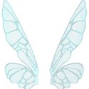 fairy wings