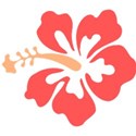 hibiscuis flower