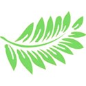 fern leaf