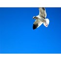 IMG_0979