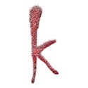 k