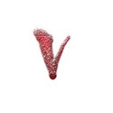 v