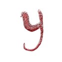 y