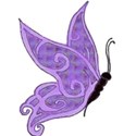 lavendar butterfly