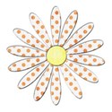orange polka dot flower