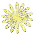 yellow flower