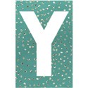Y