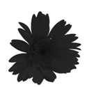 flower1black