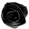 paperflower1black