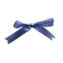 SChua_WinterNights_Element_Ribbonbow_1 copy