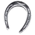 Horseshoe_Silver