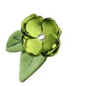 fl-leaf1