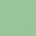 schua_WiseOne_solid4