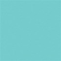 schua_WiseOne_solid6