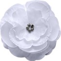 Flower 08