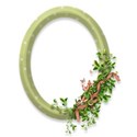 VS_Oval_03