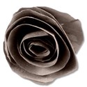 paperflower1brown2