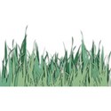 grass