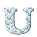 u