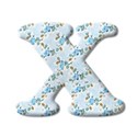 x