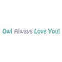 owl always love you 2