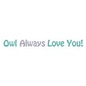 owl always love you 2