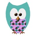 owl 6
