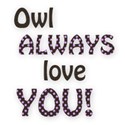 owl always love you