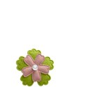 CaseyKrause_prettyfloweralpha_c