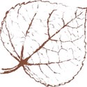 1 (8)