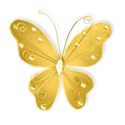 WS_Butterfly_03