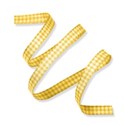 WS_Ribbon_08