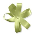 WS_Ribbon_11