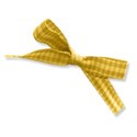 WS_Ribbon_15