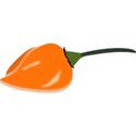 pepper-orange