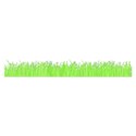 grass